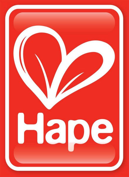 Hape's Limited Edition Toys for their We Care We Share charity initiative