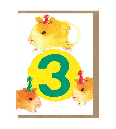 Mini Birthday Card - Age 3: Guinea Pigs