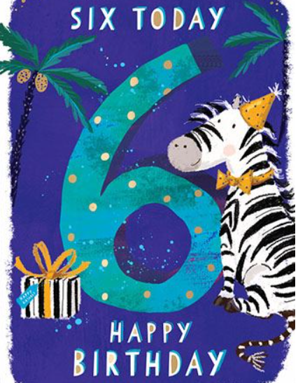 Birthday Card - Age 6: Zebra in Birthday Hat