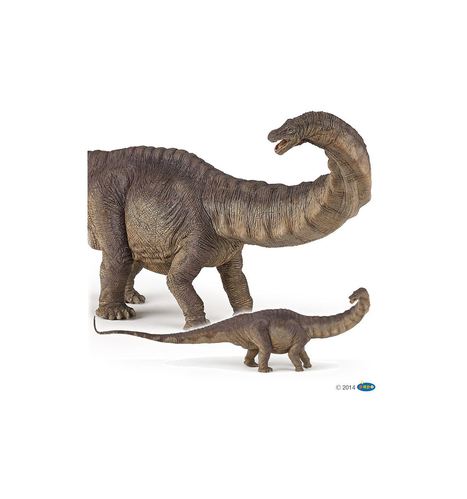 PAPO DINOSAURS - Apatosaurus